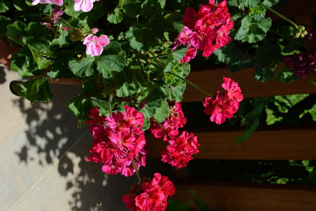 Sunrise Arches Apartments Limassol Room photo